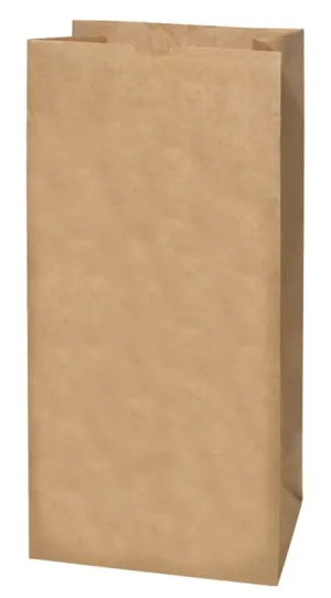 Ampac Paper Lawn and Leaf Bag, 30 gal Capacity, 5-Pack