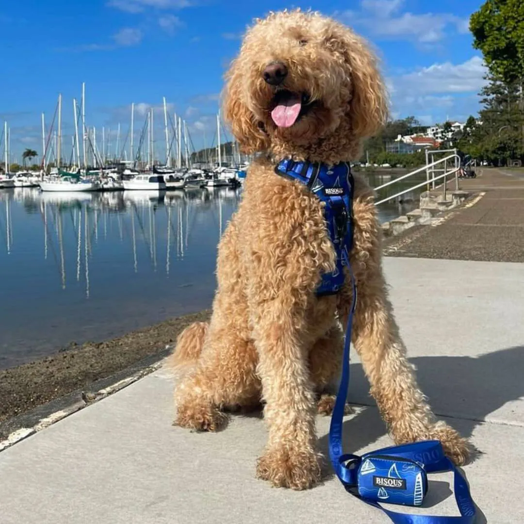 Dog Poop Bag Holder | Saint Tropez