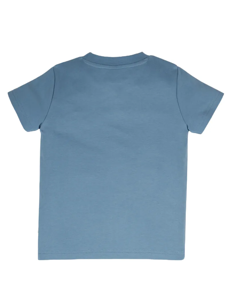 Frugi Boy's Carsen Applique T-shirt in Abisko Sky/Eagle