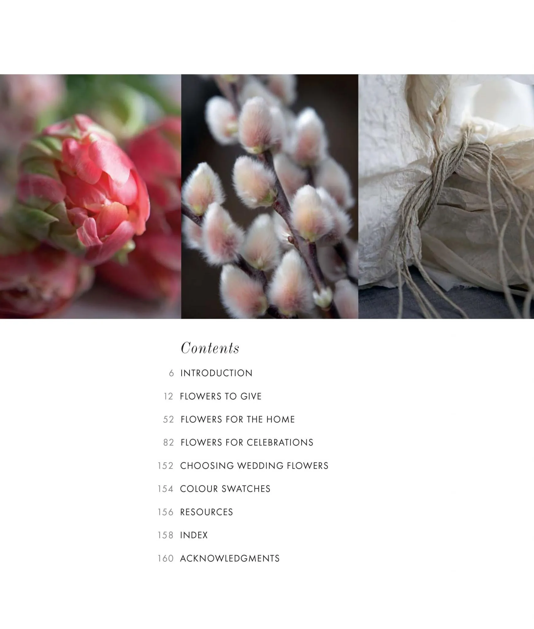 Jane Packer's Flower Course